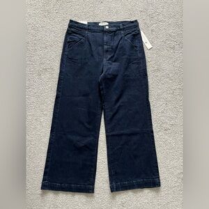 NWT Joes Jeans Andrea’s Lookbook High Waist Wide Leg Jeans Size 34